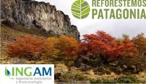 INGAM REFORESTEMOS 4